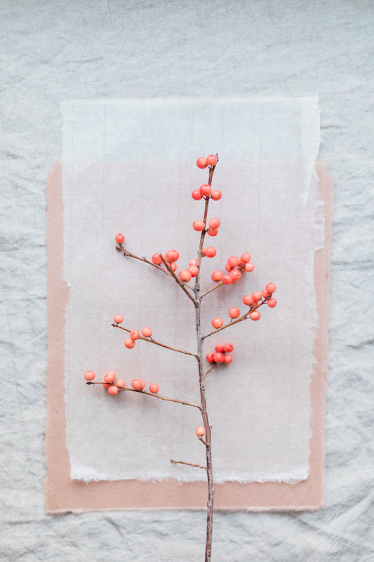 bild på rosa kvist med beige duk, ett vitt papper och et beige papper. Julkänsla.